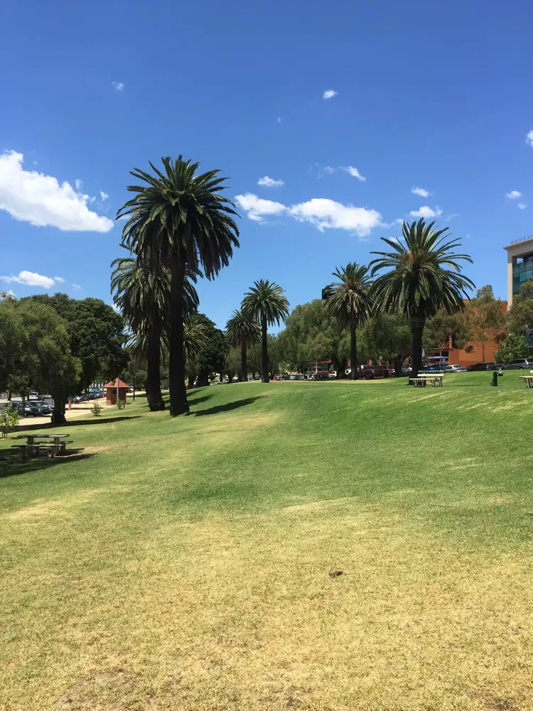 3377体育- 澳大利亚选手 